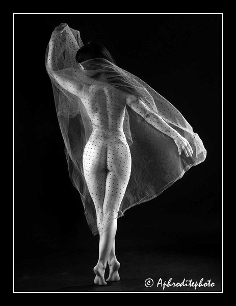 129 Le voile diaphane